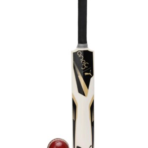 Puma one8 miniature bat & ball