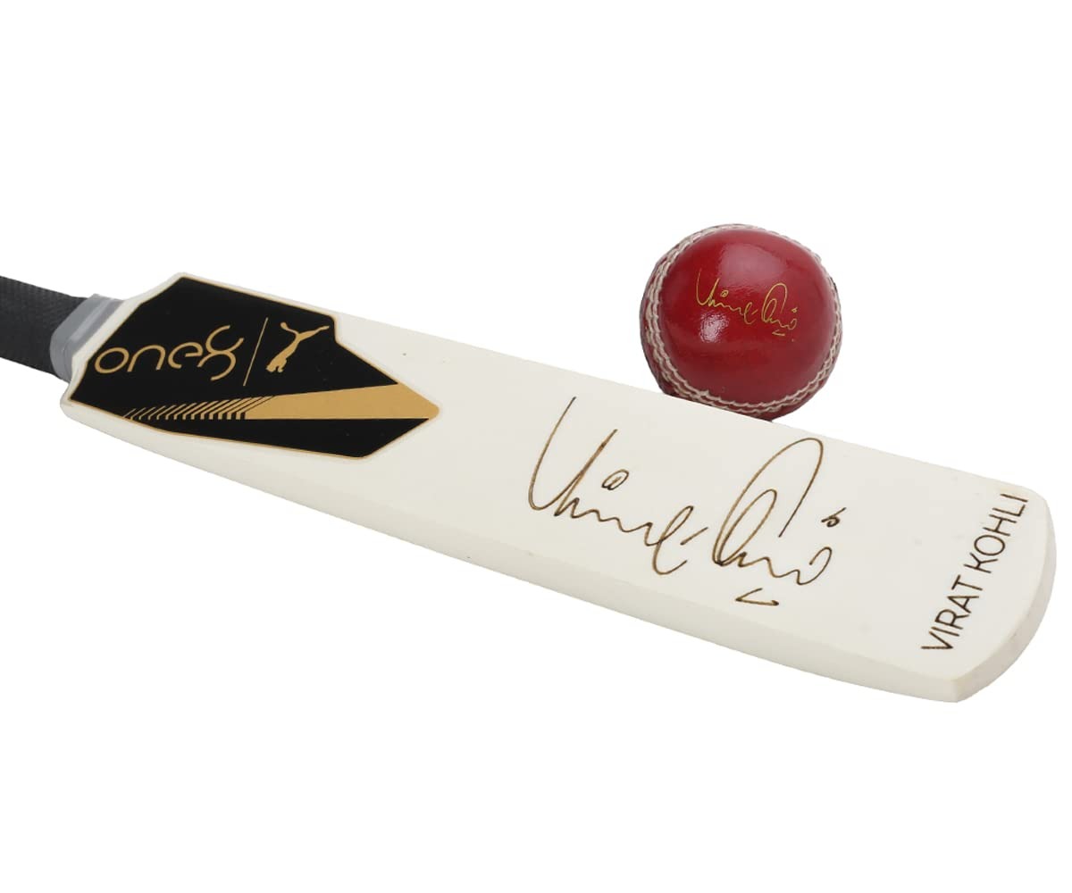 image – 2026-02-20T120626.333