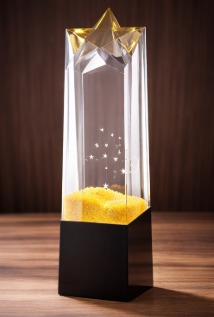Premium luxury Crystal Trophy (CRT-1)