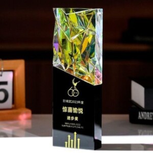 Premium elite Crystal Trophy (crt-3)