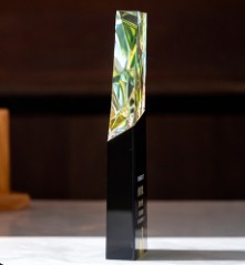 Premium elite Crystal Trophy (crt-3)