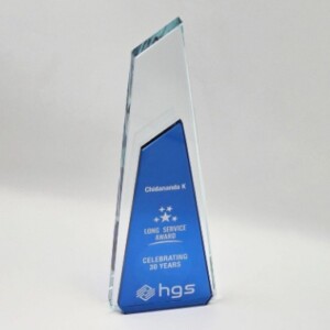 Crystal Long elite Service Award (crt-5)