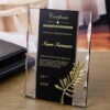 bold Black & Gold Certificate Plaque - 25