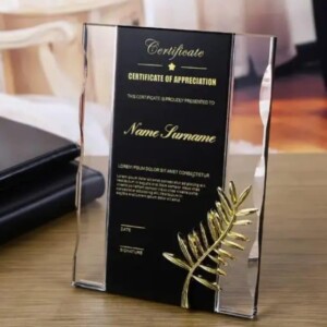 bold Black & Gold Certificate Plaque - 25