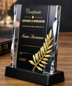 bold Black & Gold Certificate Plaque - 25