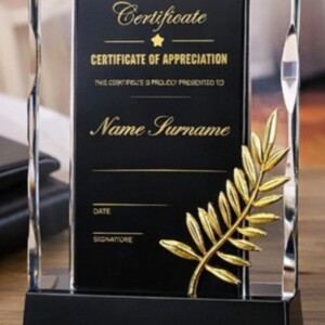 bold Black & Gold Certificate Plaque - 25