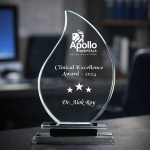 Elegant Crystal Flame Trophy crt - 48