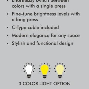 Brighto Shine Rechargable LED Lamp E356
