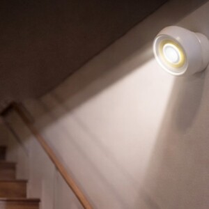 2-in-1 Elite Motion & Light Sensor