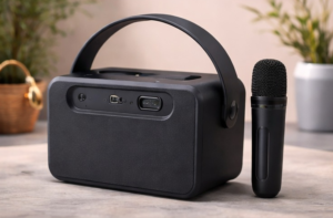 Brio 20W Portable Karaoke Speaker