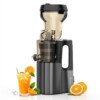 Rico smart 300W Slow Berry Juicer