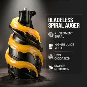 Rico smart 300W Slow Berry Juicer