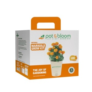 Pot & Bloom 7 in 1 grow kit