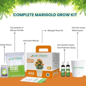 Pot & Bloom 7 in 1 grow kit