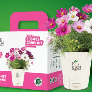 Pot & Bloom 6-in-1 cosmos grow kit