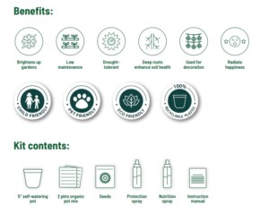 Pot & Bloom 6-in-1 cosmos grow kit