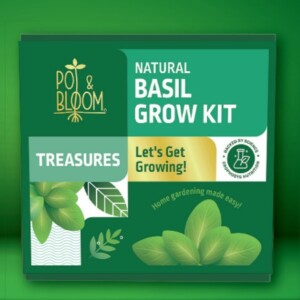 Pot & Bloom 3 step starter grow kit