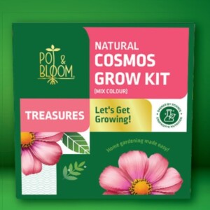 Pot & Bloom 3 step starter grow kit